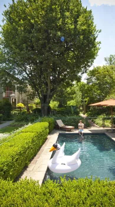 Family Pool, The Peech, Johannesburg, South Africa