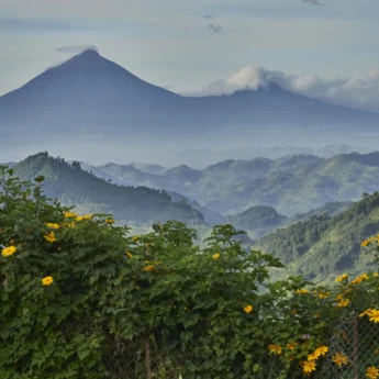 nkuringo bwindi