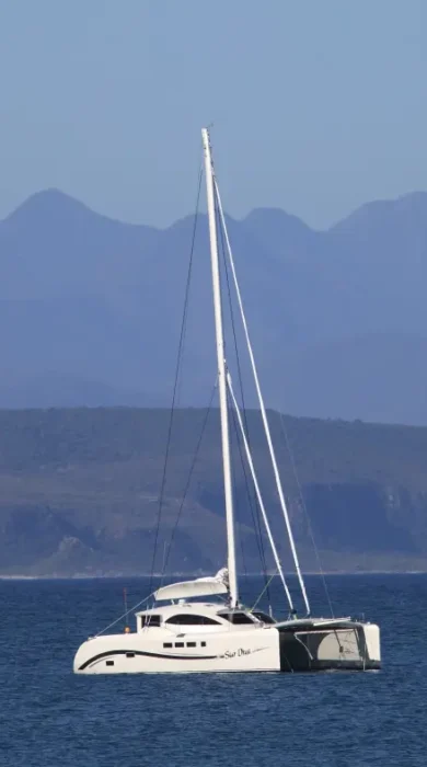 IMG 8525