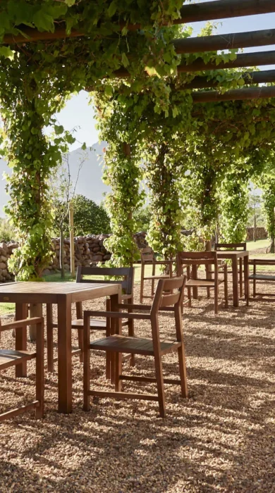 dining, boschendal, the winelands, south africa