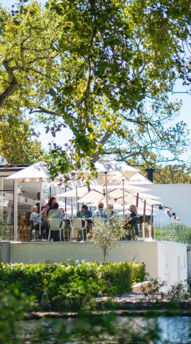 restaurant, boschendal, the winelands, south africa