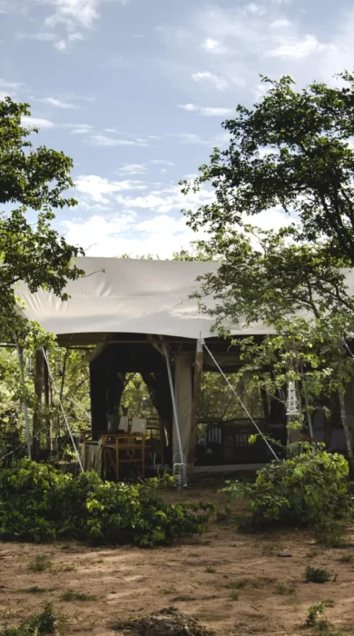main tent, simbavati trails camp, timbavati, south africa