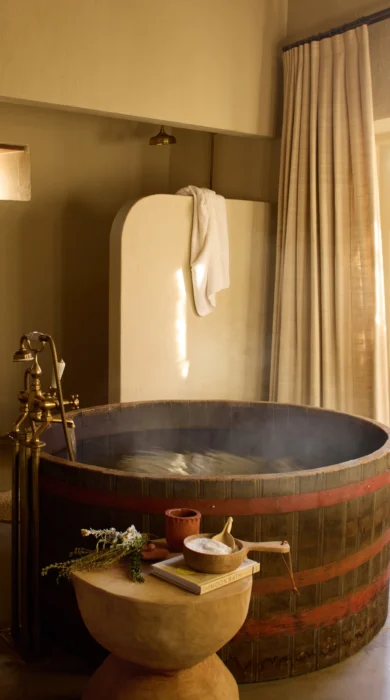 Farm Suite Bathroom, Sterrekopje, Franschhoek, South Africa (1)