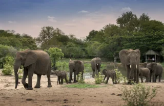 13. TANDA TULA SAFARI CAMP WATERHOLE