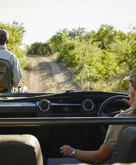 Singita Sweni Lodge Game Drive1