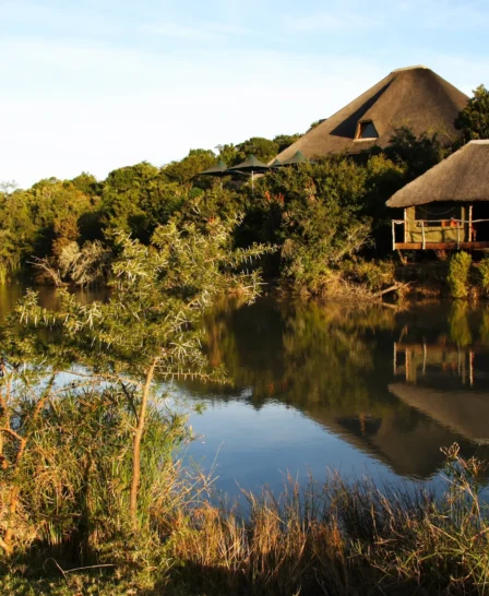 water lodge, shamwari private game reserve, south africa