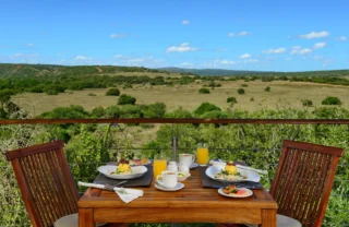 exterior breakfast, shamwari private game reserve, south africa